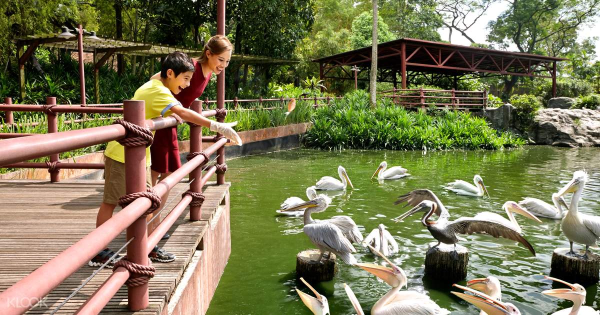 パークホッパーパスの予約 シンガポール動物園 ナイトサファリ リバーサファリ ジュロンバードパーク Klook クルック