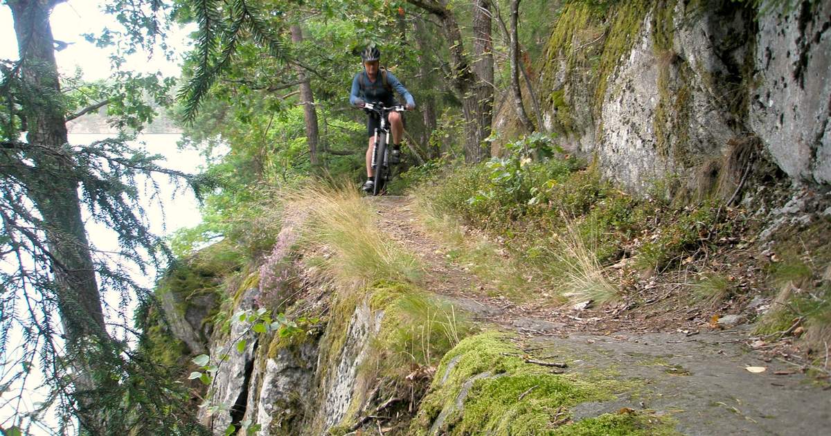 mountain bike track