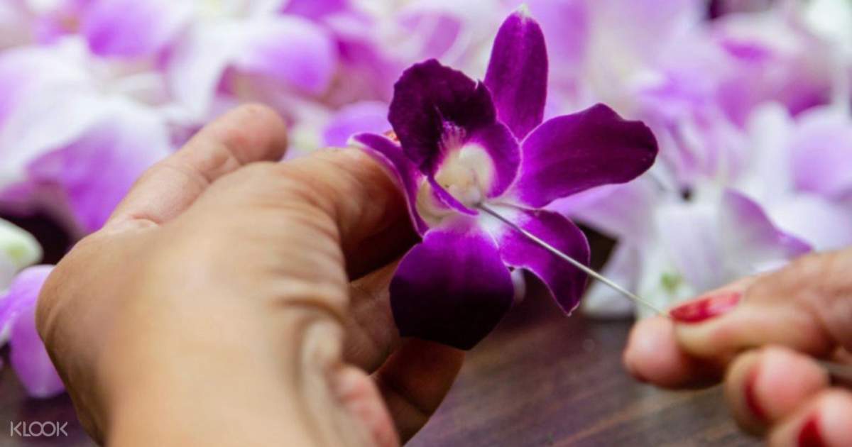 Hawaiian Lei Flower Greeting at Daniel K. Inouye International Airport