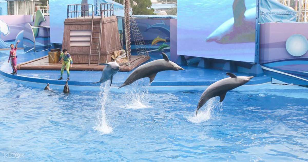 Ocean Park Hong Kong Tickets plus Optional Meals, Coupon