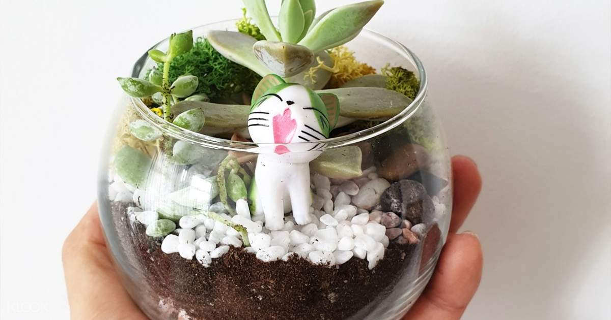 Up To 30 Off Sinapore Terrarium Diy Home Kit Or Workshop In Funan And Great World City Diy Experience Klook Singapore