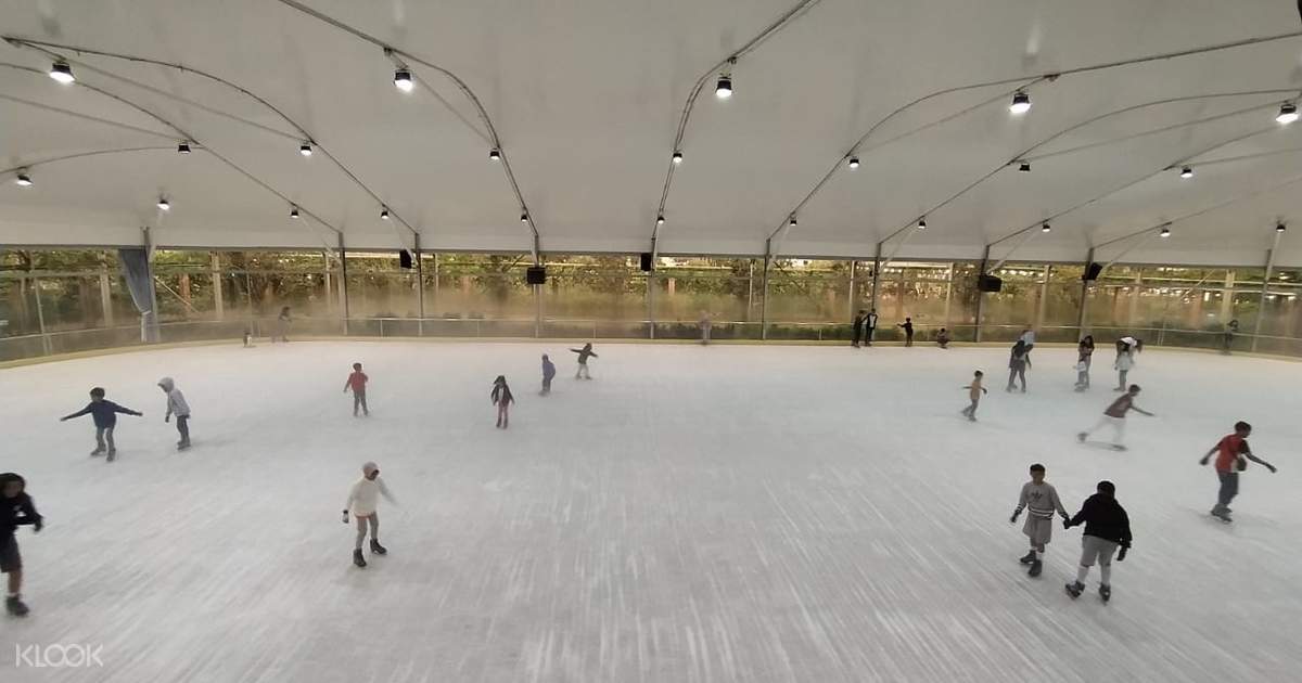 Gardenice Skating Rink Ticket in Paris 