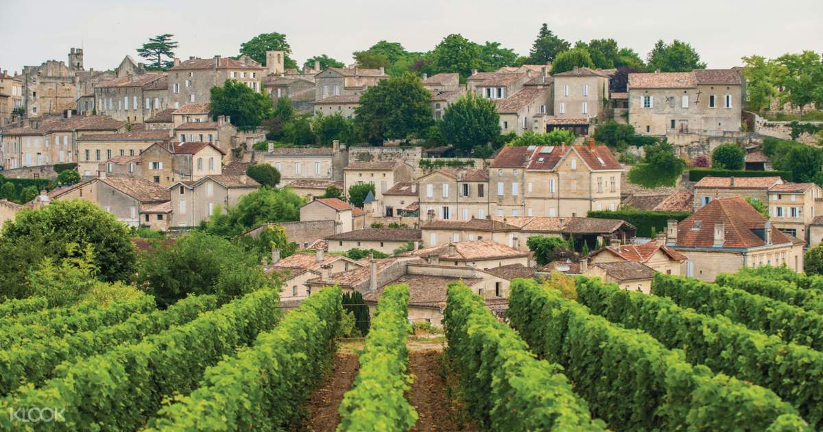 Visite des vignobles de Bordeaux