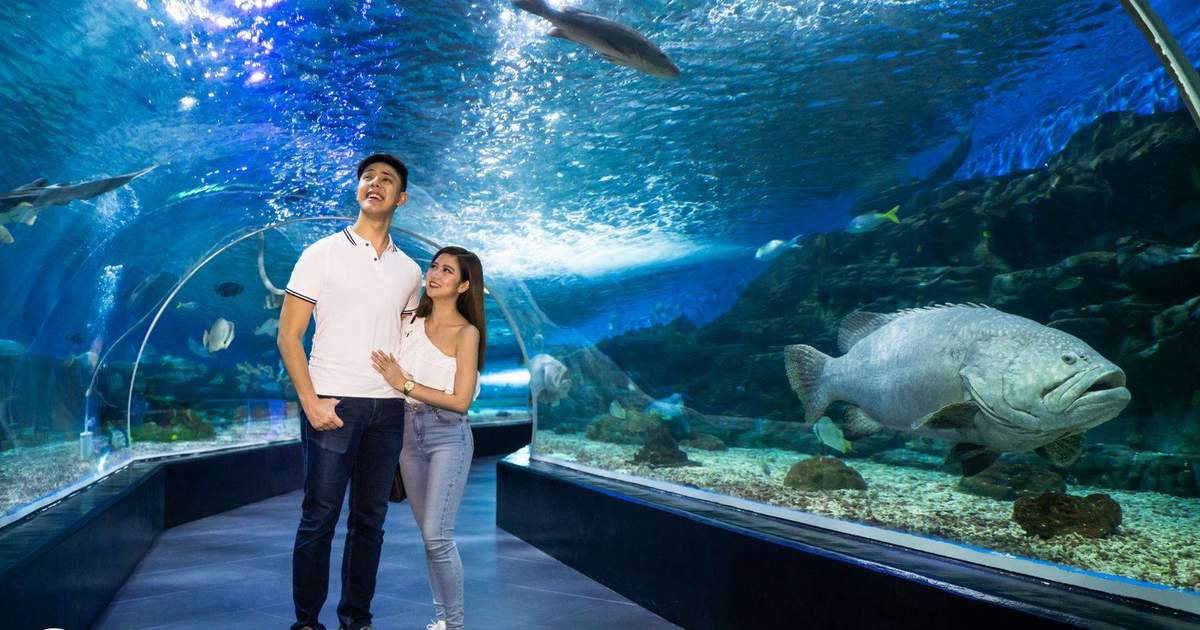 theme parks in philippines | manila ocean park