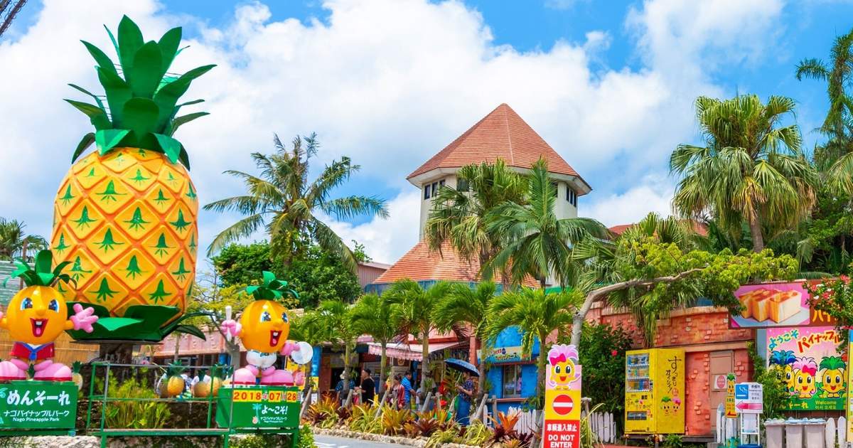 things to do in okinawa japan | explore nago pineapple park