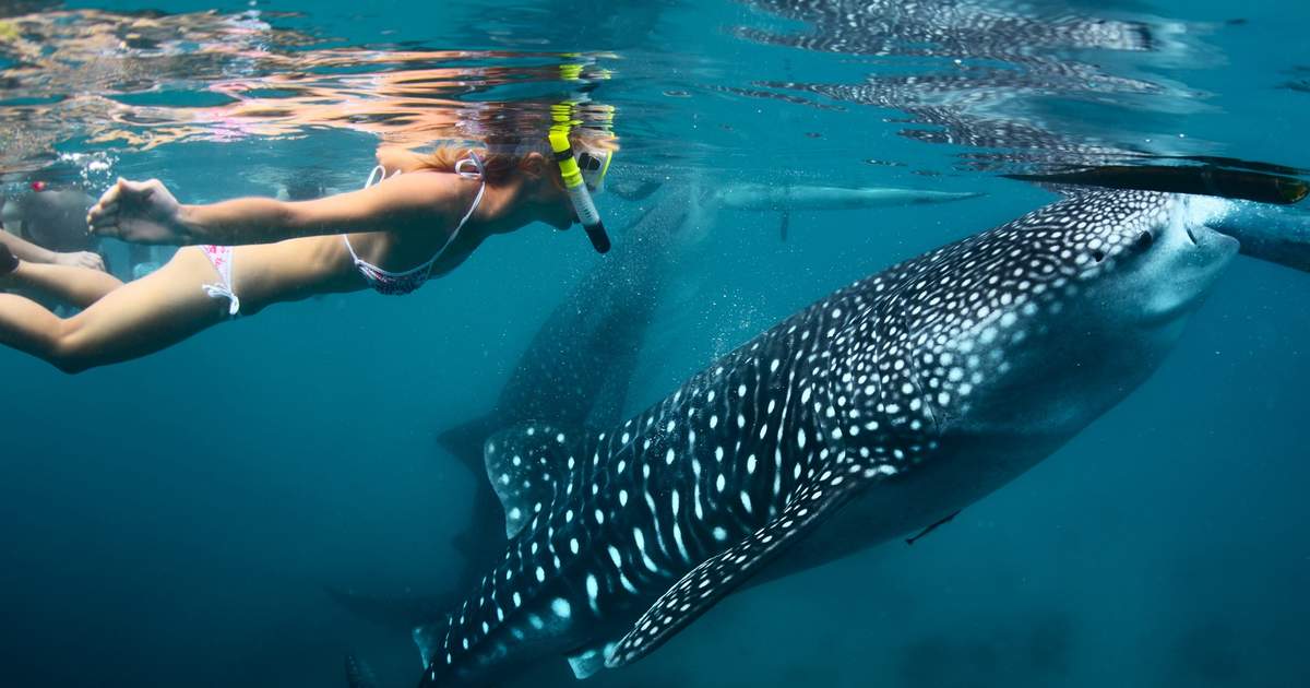 best places to visit in philippines | cebu