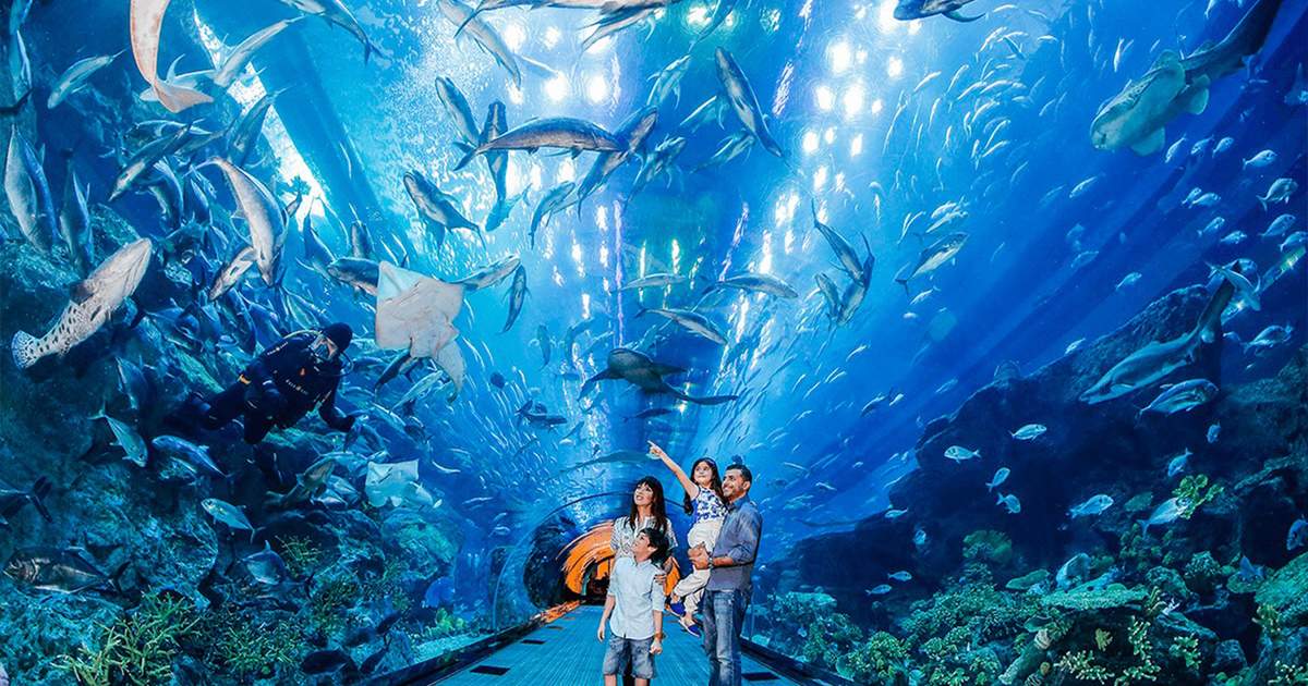 Vé Thủy Cung Và Sở Thú Dưới Nước Dubai Tại Dubai Mall - Klook Việt Nam