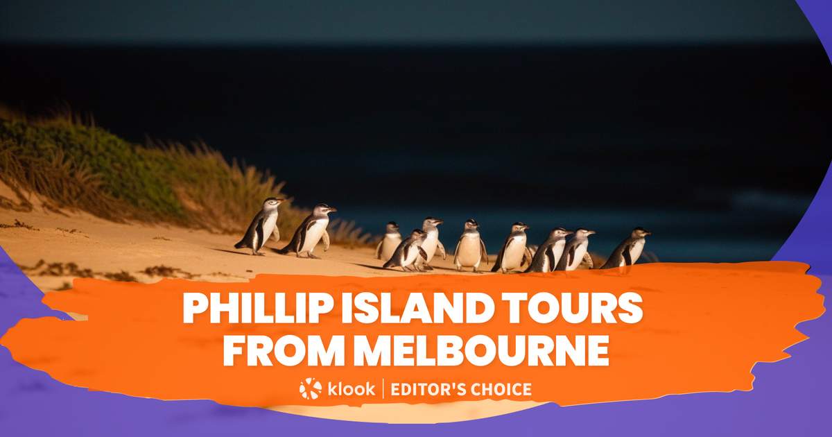 Phillip Island Tours from Melbourne - Klook Hong Kong