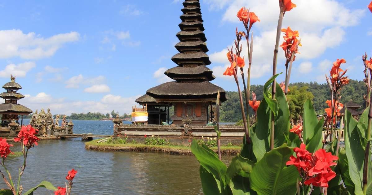 best places to visit in bali | jatiluwih rice terraces