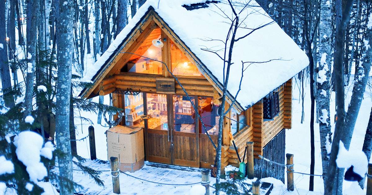 things to do in asahikawa | meet the arctic animals at asahiyama zoo