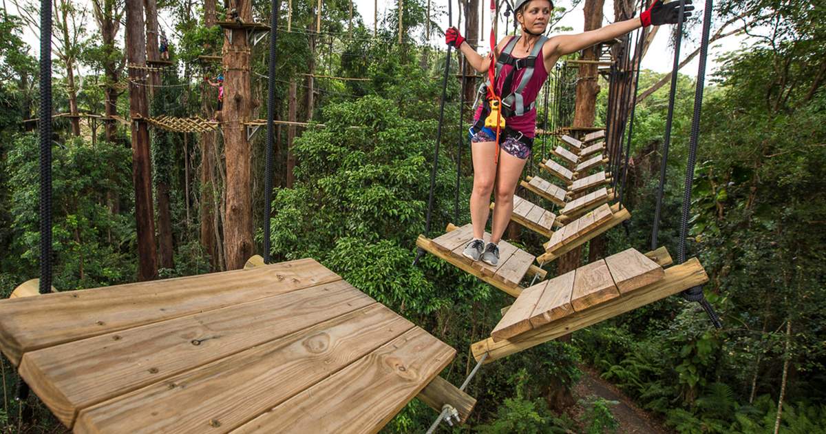 直太朗WANTKEY CAMP ×TARPtoTARP コースター 直太朗WANTKEY CAMP ×TARPtoTARP コースター TARPtOTARP x