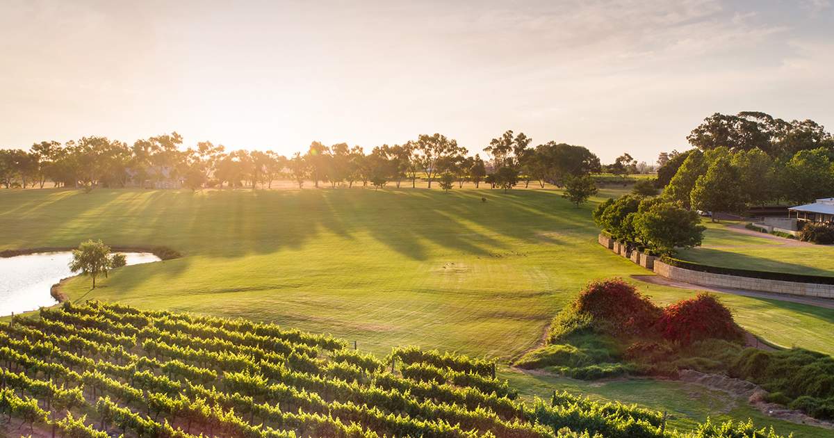 Swan Valley Day Tour with Chinese Speaking Guide Klook India