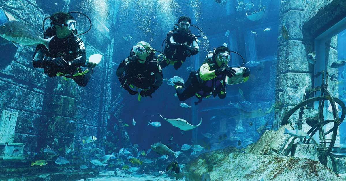 Discovering Dubai's Underwater Wonderland: Must-Visit Dive Sites - Sustainable Diving Practices