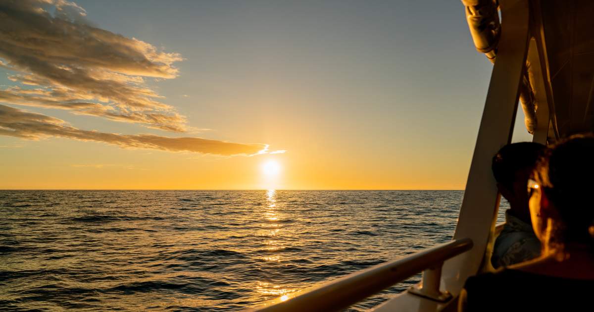 romantic things to do in hawaii | revel in the beauty of hawaii on a romantic dinner cruise