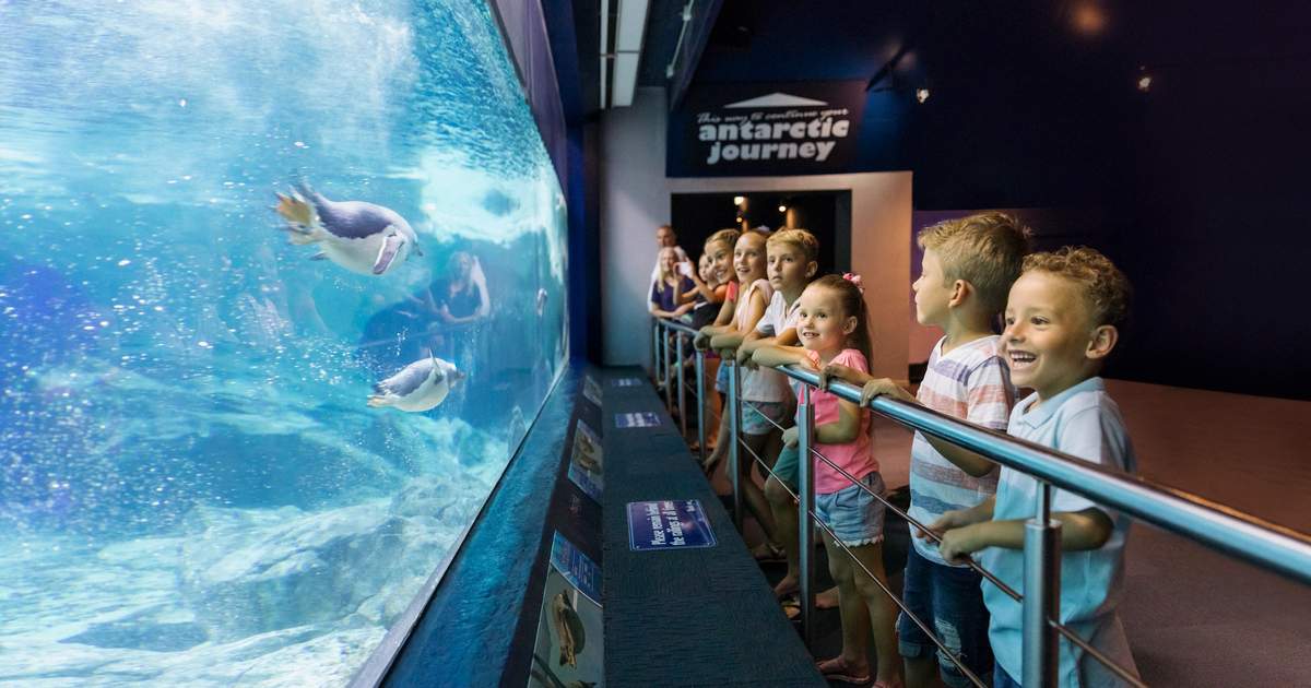 theme parks in gold coast | sea world