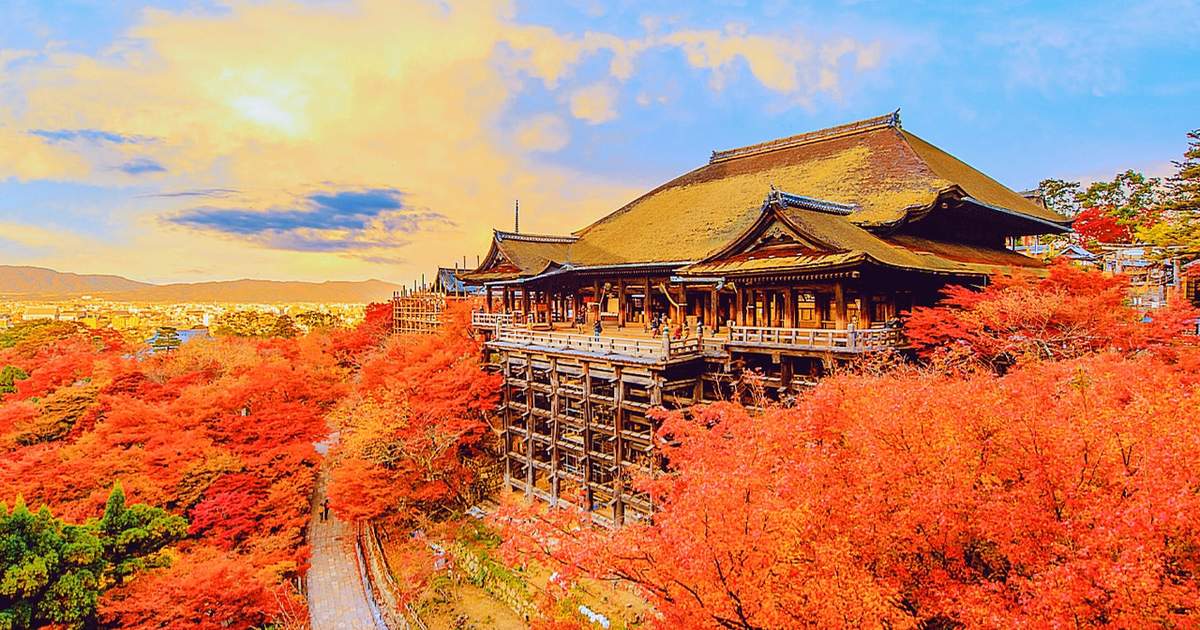 日本必去景點 | 奈良：從大阪出發到清水寺、伏見稻荷大社、奈良公園