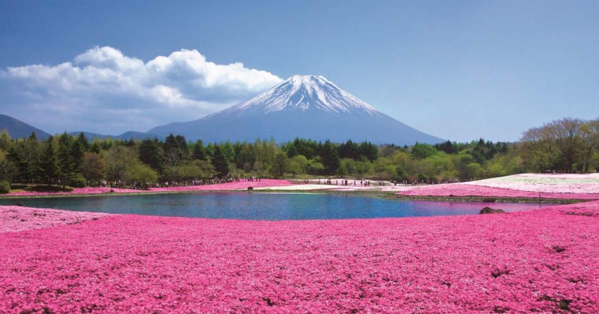 預訂富士山花卉觀光之旅，一日