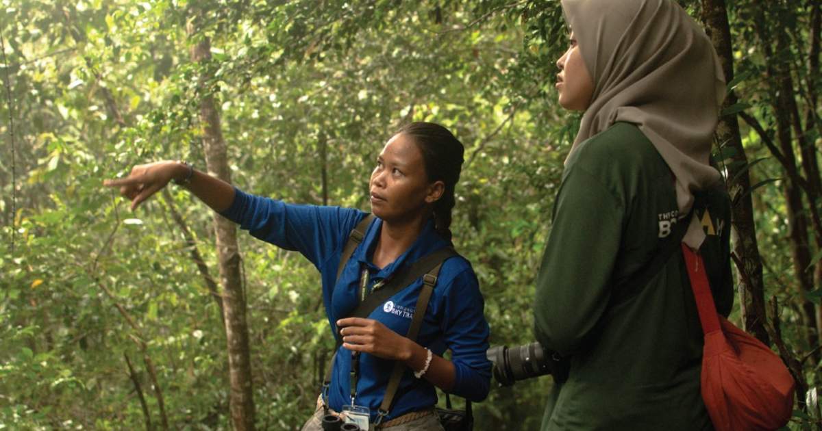 Langkawi SkyTrail Hiking Experience at Junglewalla Ticket