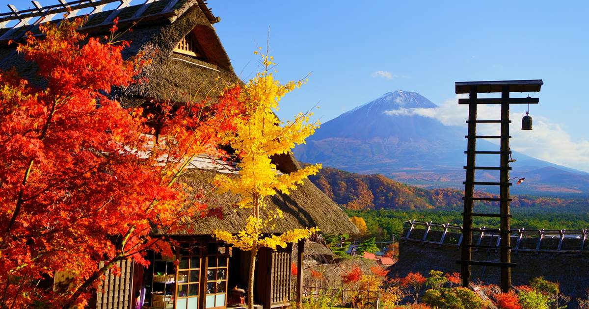 东京出发山梨富士山新仓山浅间