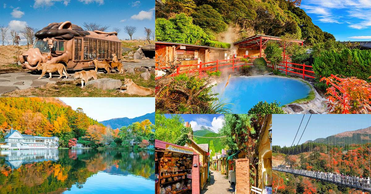 Oita chartered car one-day tour/multi-day tour (departing