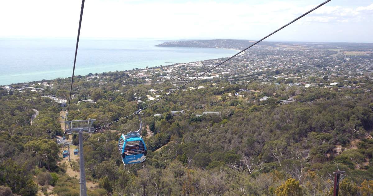 summer holidays in australia | taste the pinot noirs at mornington peninsula