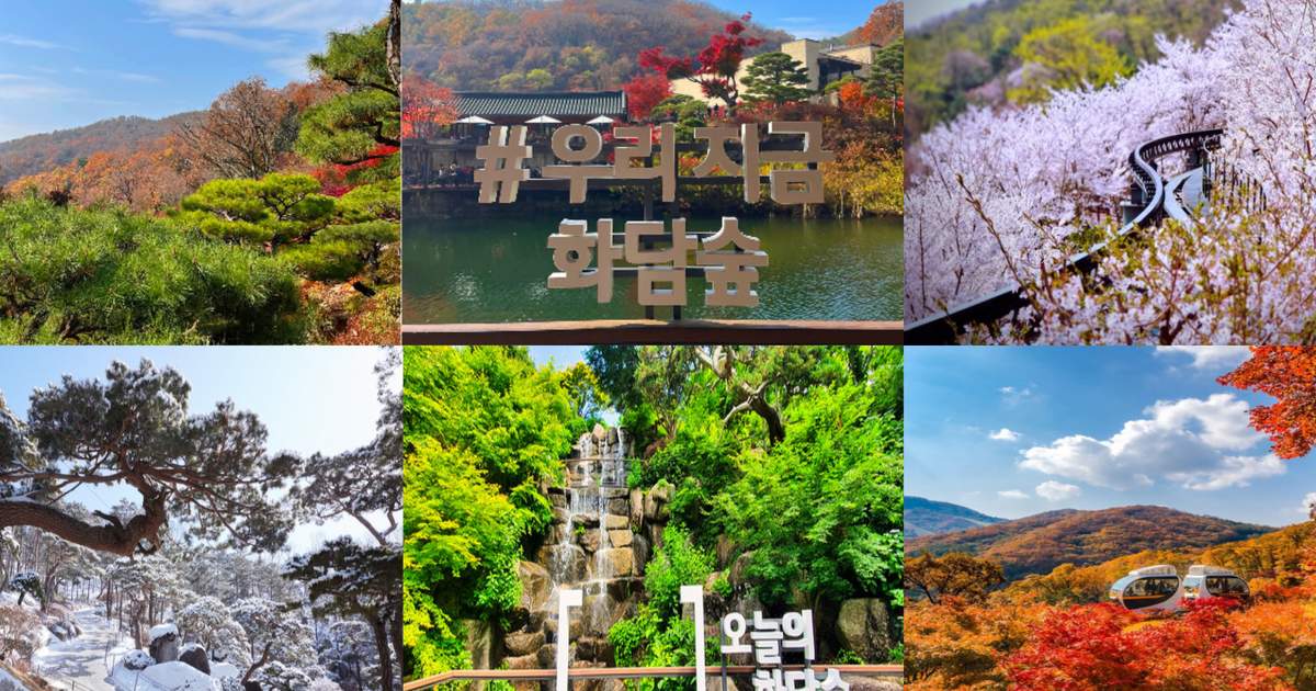 Hwadam Forest & Ludencia & Outlet & Gwangmyeong Cave & Dumulmeori - Klook