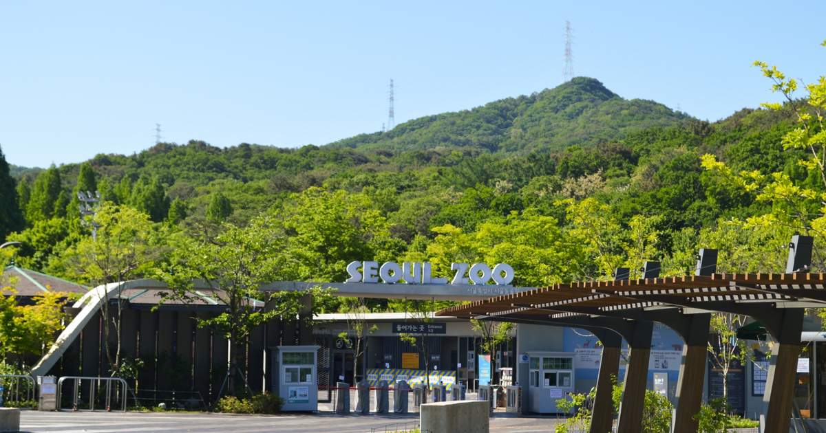 韓國必做 | 探索奇妙的首爾動物園