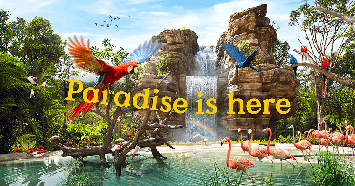 Singapore Shuttle Bus por Luxury Tours 