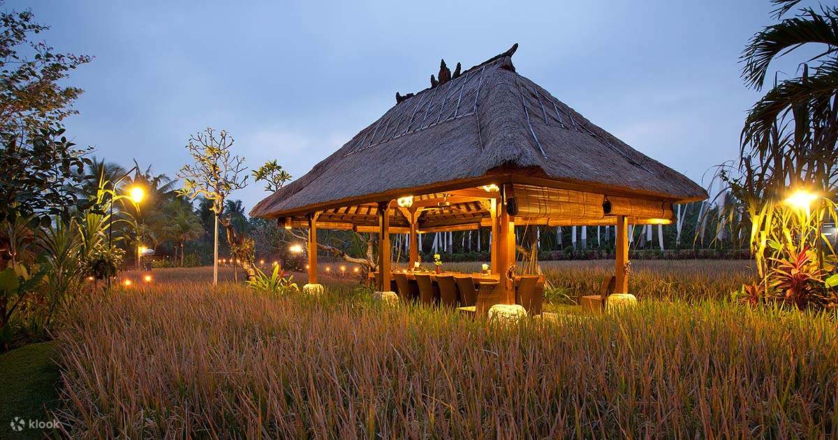 хижина на рисовом поле