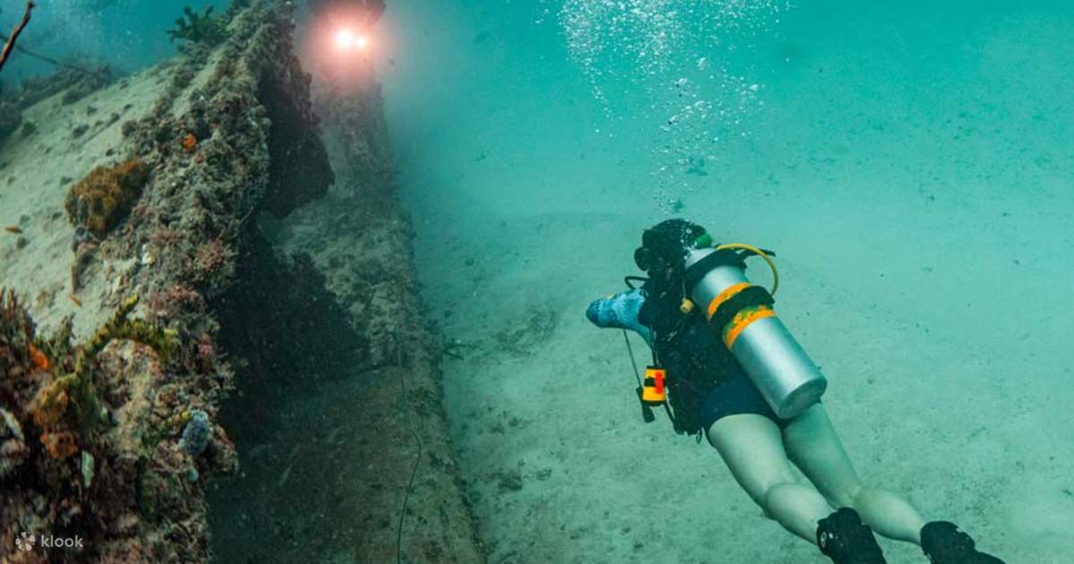 PADI Enriched Air Diver in Florida with PADI 5 Star IDC Klook