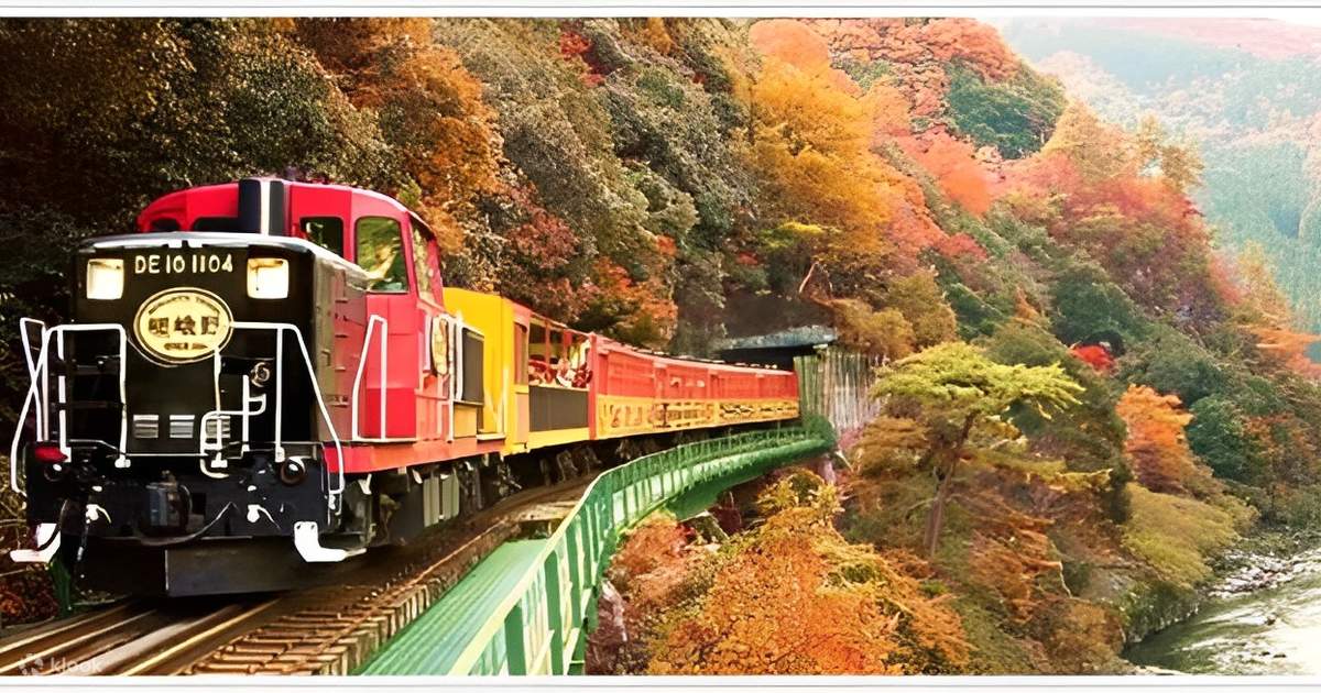From Kyoto: Sagano Train Ride and Guided Kyoto Day Tour