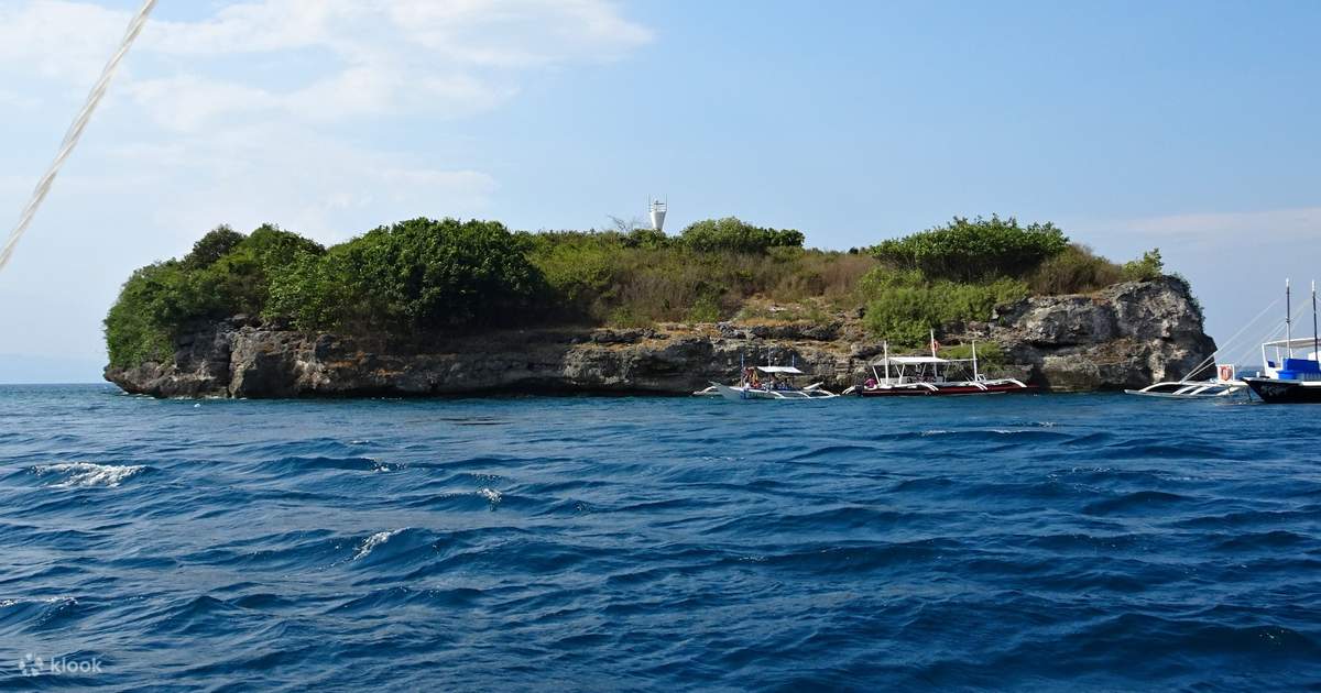 things to do in moalboal philippines | boating and snorkeling with planet action adventure