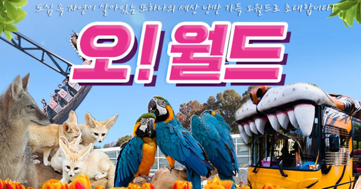 대전 오월드 자유이용권 - 클룩 Klook 한국