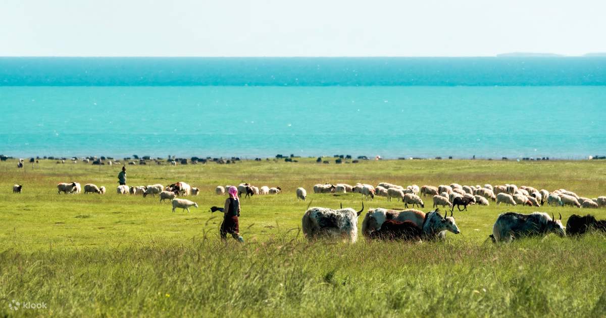 Tur Grand Loop Klasik Qinghai-Gansu Barat Laut 6 Hari (Termasuk Drone ...