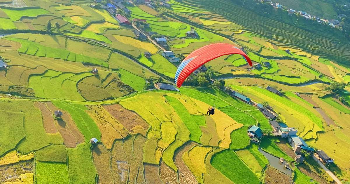 Trải Nghiệm Bay Dù Lượn ở Mù Cang Chải - Bay Trên Mùa Vàng