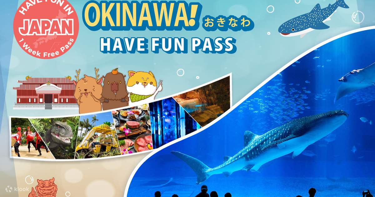 Have Fun in Okinawa Pass (with options: Churaumi Aquarium and DMM