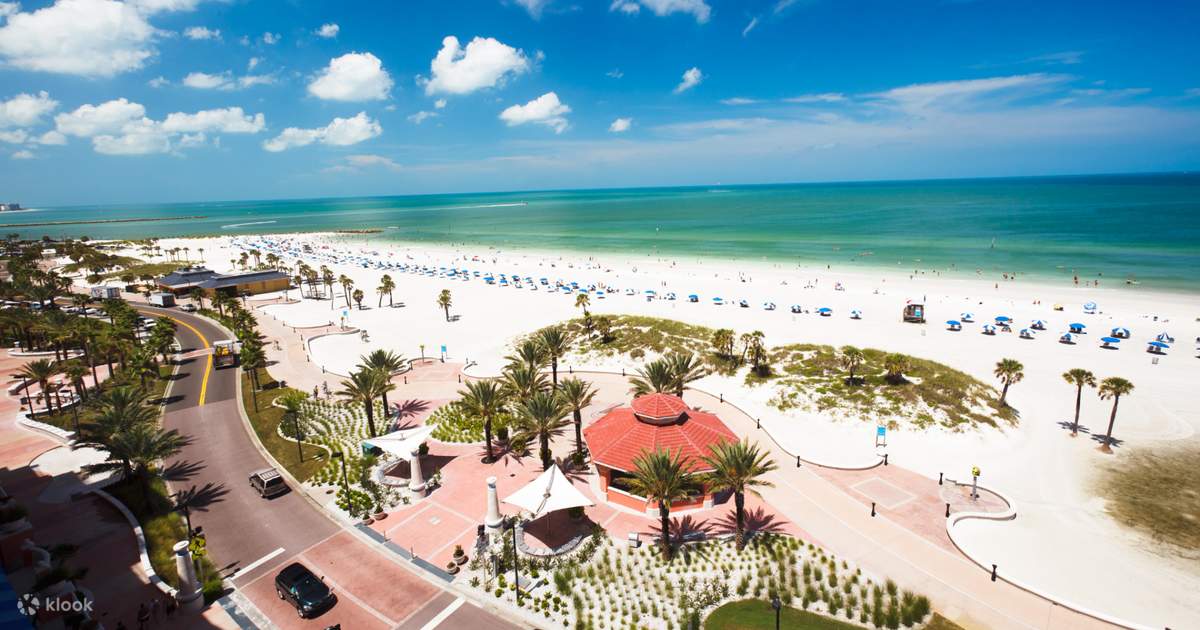 Clearwater Beach Day Trip with Options and Roundtrip Transportation