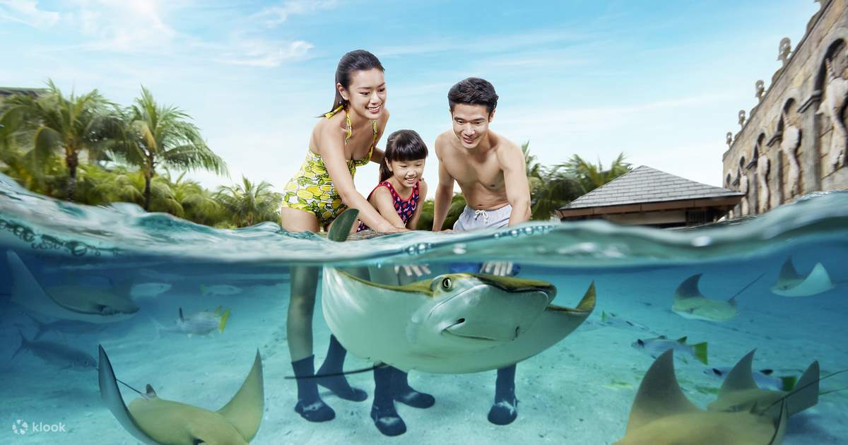 Adventure Cove Waterpark Ticket & Set Lunch at Hard Rock Café Sentosa -  Klook Philippines
