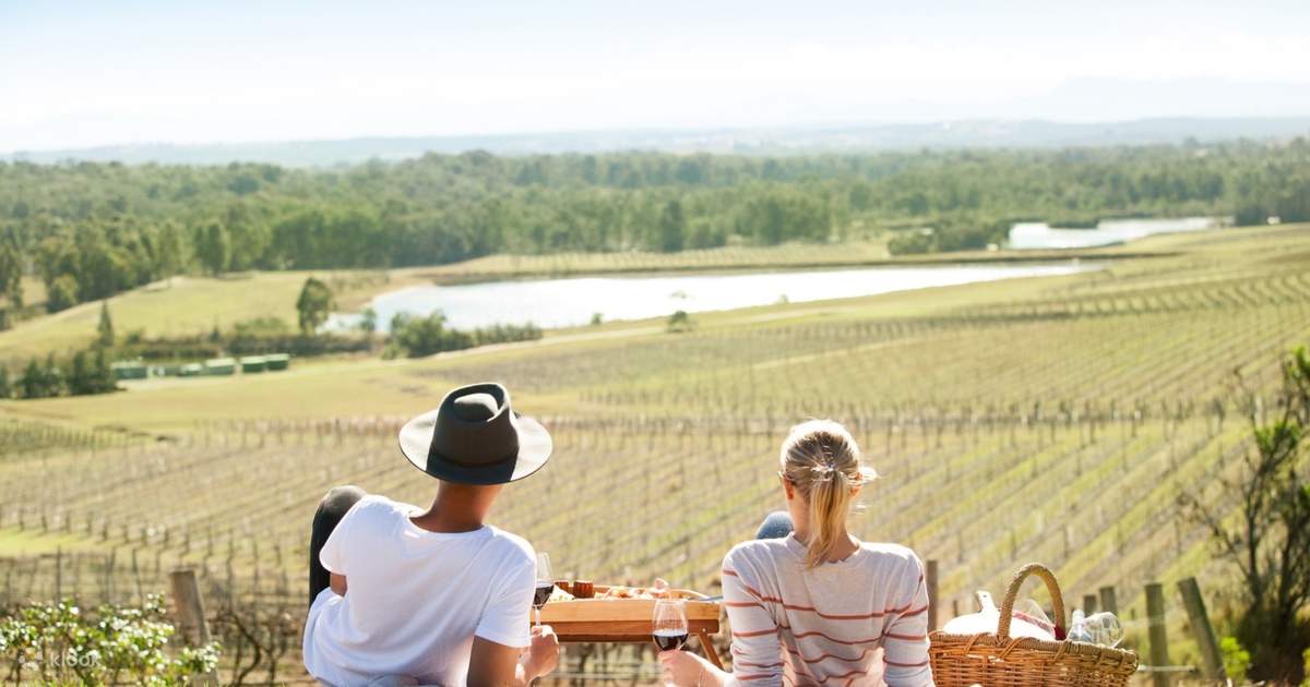 Picnic V Sattui Wine Tasting Vineyard Sattui Family Sattui Winery