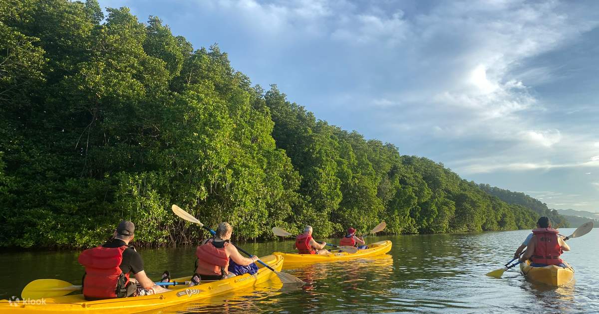 Sunrise Mangrove Tour