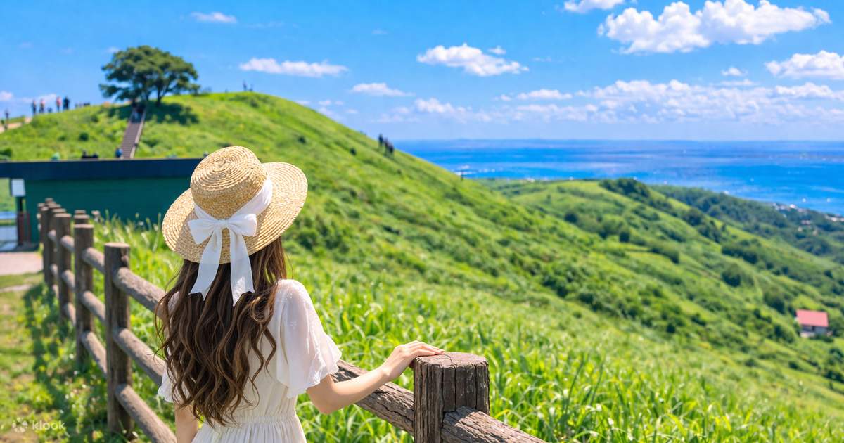 Hakone Shrine & Jōgasaki Coast & Mt. Omuro in Izu Day Trip (From