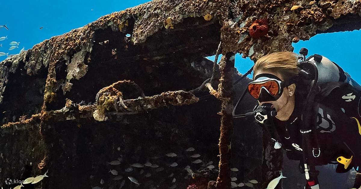 PADI Advanced Open Water Diver in Florida with PADI 5 Star IDC Klook