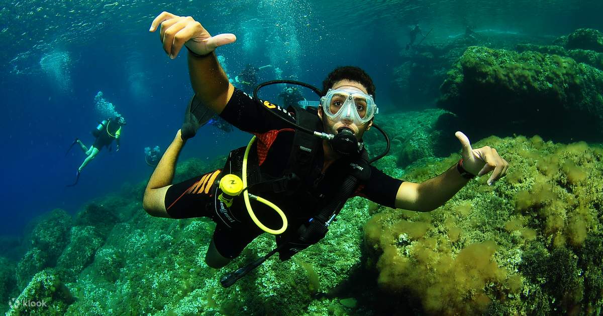 PADI Discover Scuba Diving in Balearic Islands with PADI 5 Star Dive