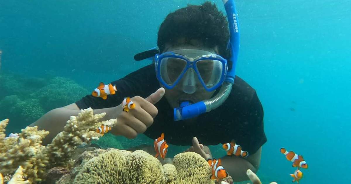 Tour Lặn Ống Thở, Chèo Thuyền Kayak & Câu Cá Vui Vẻ Tại Đảo Cát Trắng -  Klook Việt Nam