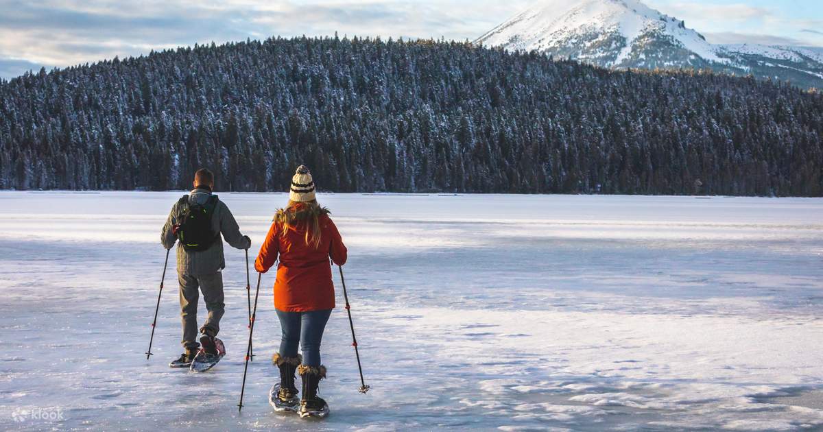 Snowshoe Tours North Shore Snowshoeing Blue Mountain