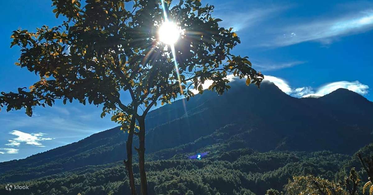 Mount Halimun National Park Ticket and Camping Experience in Bogor ...