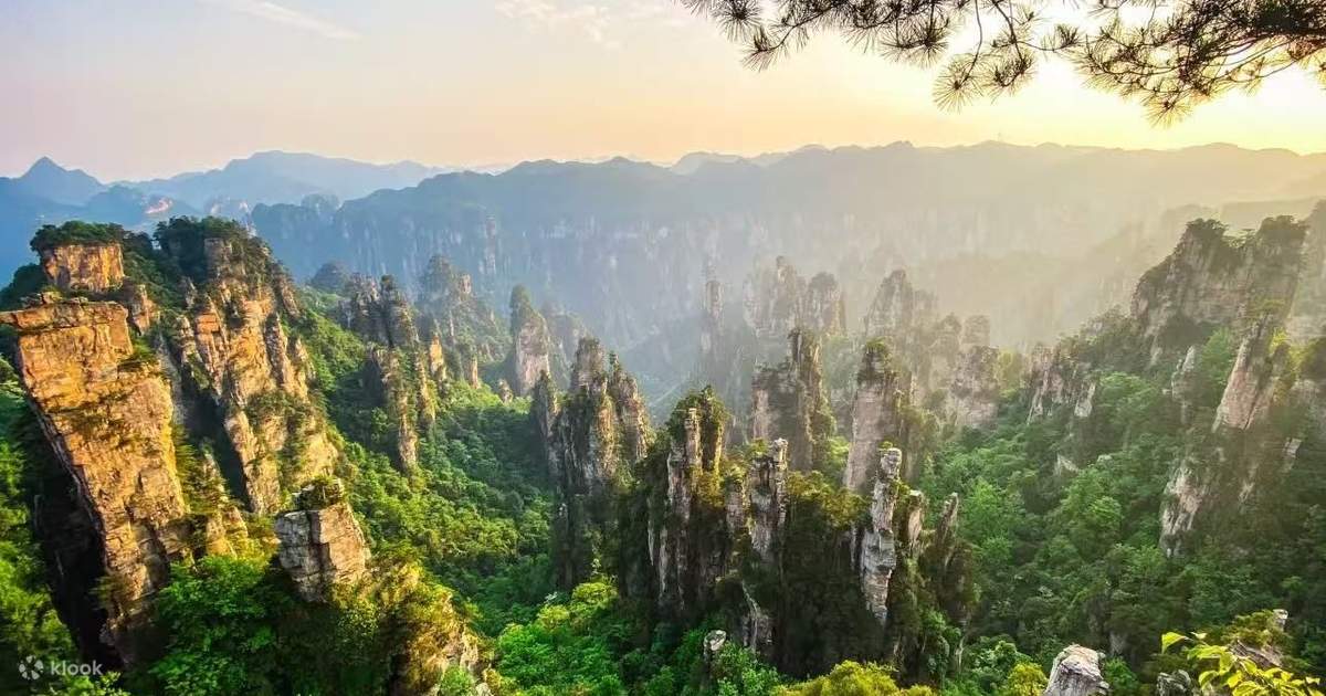 湖南张家界天门山国家森林公园深度1日游(天门山洞+世界最长索道+网红玻璃桥+悬崖栈道+自然景观+云端之旅) - Klook客路