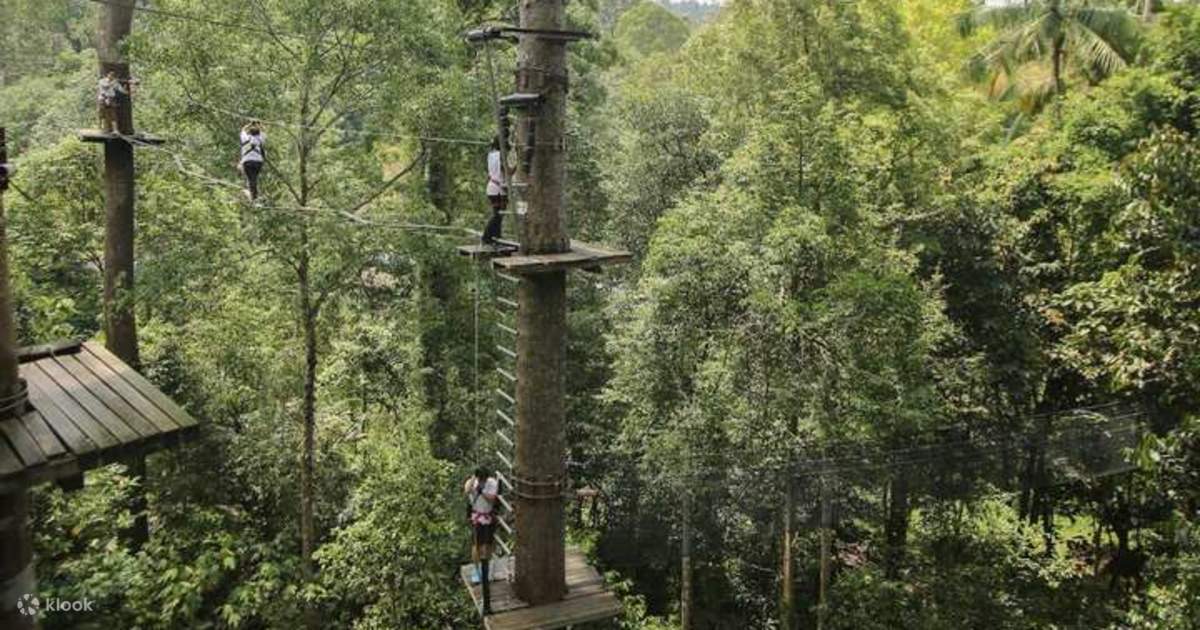 Skytrex Adventure Langkawi, Malaysia - Klook Malaysia