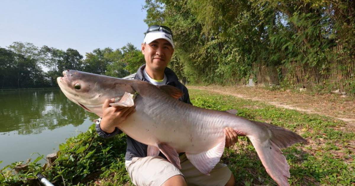 Big Game Fishing Adventure Chiang Mai, Thailand - Klook Canada