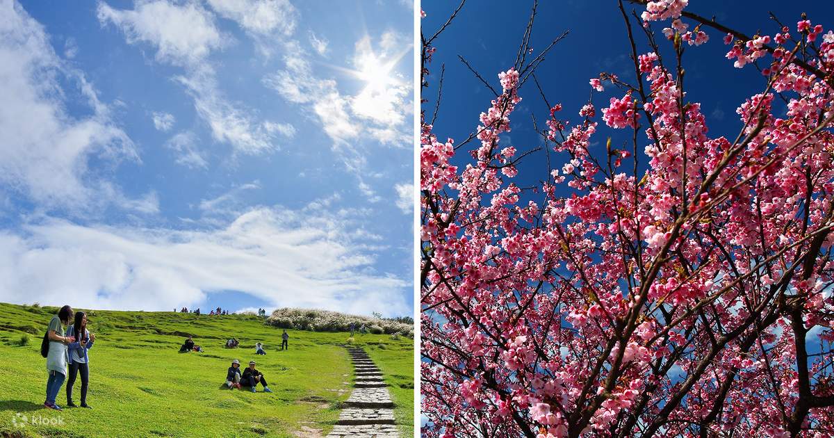 Wisata Taman Nasional & Pemandian Air Panas Yangmingshan - Klook Indonesia